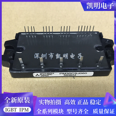 模块 PM20CSJ060 PM15CSJ060 PM30CSJ060 PM10CSJ060 PM30CNJ060