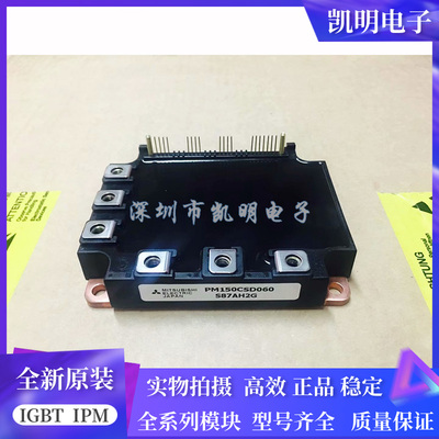 全新PM150CSD060 PM150CSD120 PM200RSA060 PM100CSD060 PM300现