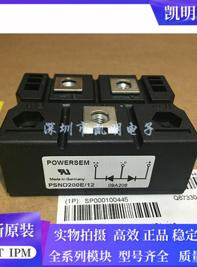 PSND200E/12 PSMD200E/12 PSND200E/16 PSMD200E/16 PSND200E/10