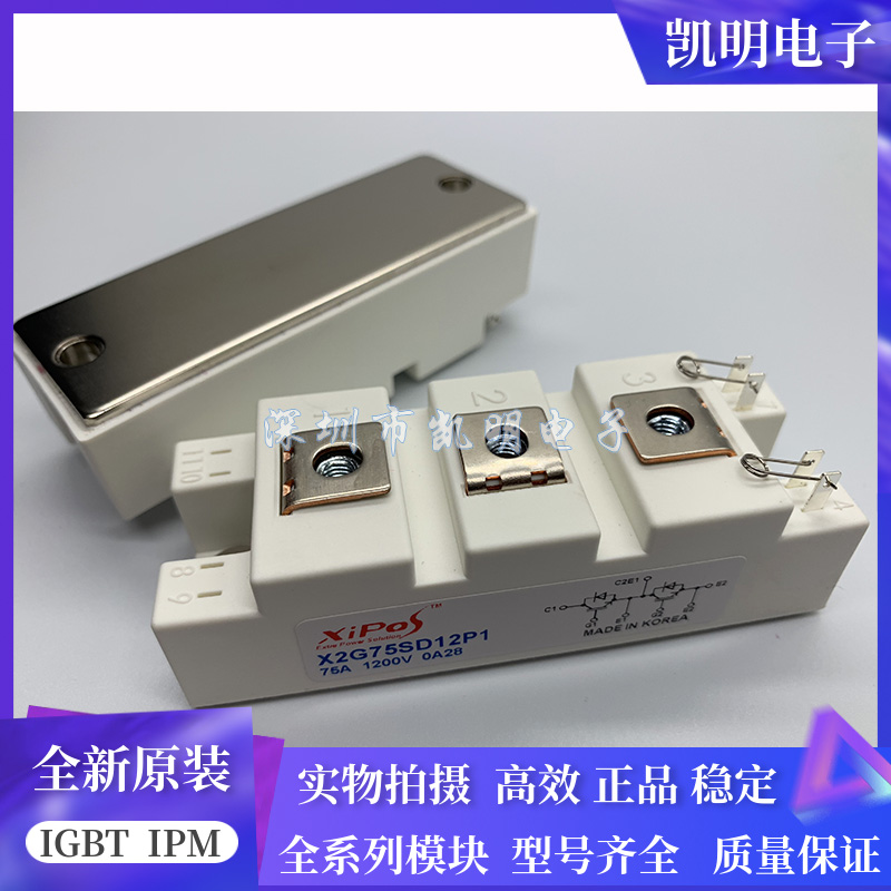 全新X2G75SD12P1 X2G50SD12P1 X2G100SD12P1 X2G100SD12P3 X2G75S