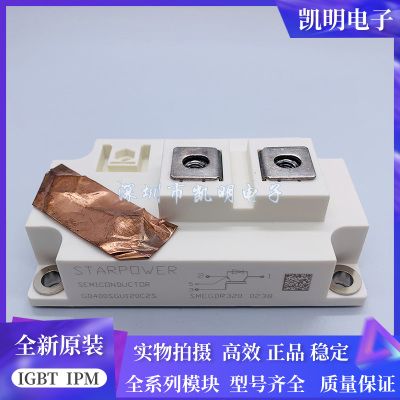 GD400SGU120C2S GD200SGY120C2S GD300SGL120C2S GD600SGT170C2S