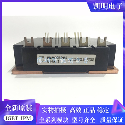 PM300CBS060 PM300CS1H060 PM450CS1H060 PM200CBS60