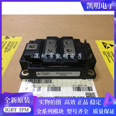 MG300Q2YS40 MG300Q2YS43 MG300Q2YS50 MG360V1US41