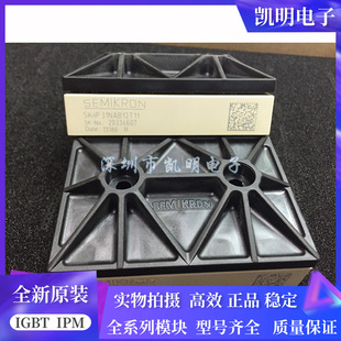 SKIIP32NAB12T1 SKIIP31NAB12T49 SKIIP31NAB12T11 38NAB12T4V1