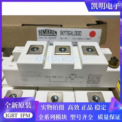 SKM100GAR123D SKM75GAR063D SKM150GAR12T4 BSM75GAR120DN2现货