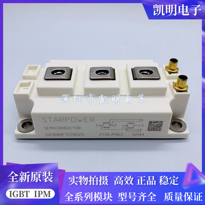 GD150HFT170C2S GD200HFT170C2S GD300HFT170C2S GD4000HFT170C2S