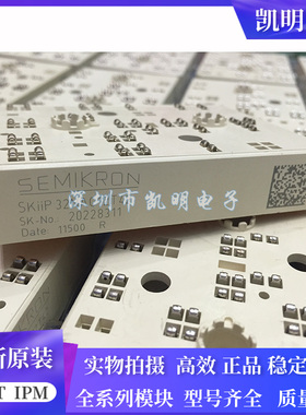 SKIIP31NAC12T42 SKIIP31NAC12T2 SKIIP32NAC12T42 SKIIP30NAC12T