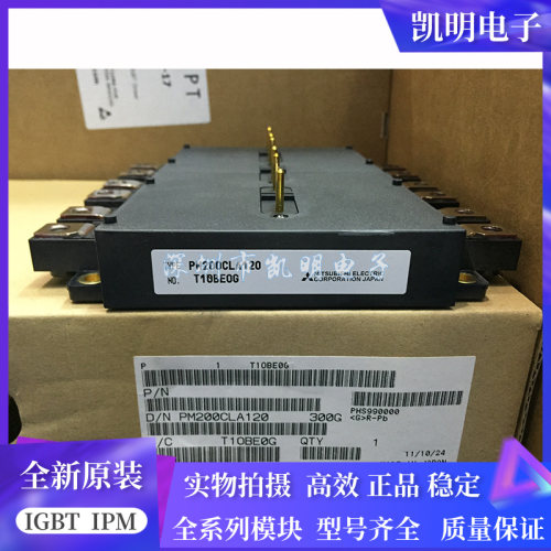 PM450CLA120 PM300CLA120 PM200CLA120 PM600CLA060 PM450CLA060