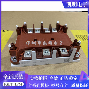 SKIM401GD128D SKIM455GD12T4DM1 SKIM271GD128D SKIM304GD12T4D
