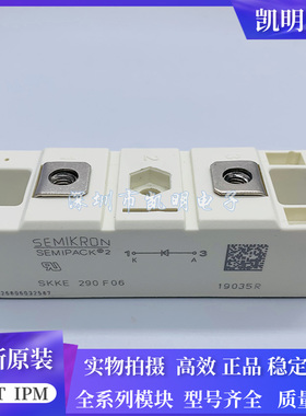 SKKE600F12 SKKE330F12 SKKE310F12 SKKE290F06 SKKE400F12 现货