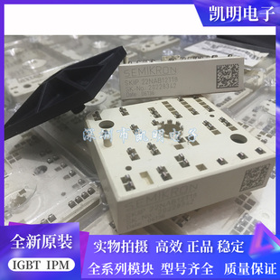 SKIIP22NAB12T18 SKIIP22NAB12T17 SKIIP22NAB12IT45 SKIIP20NAB