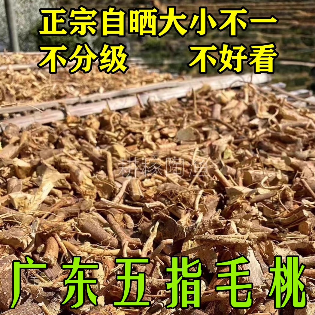 广东农家自晒五指毛桃根中药材煲汤材料纯野生干货五爪龙椰奶香浓