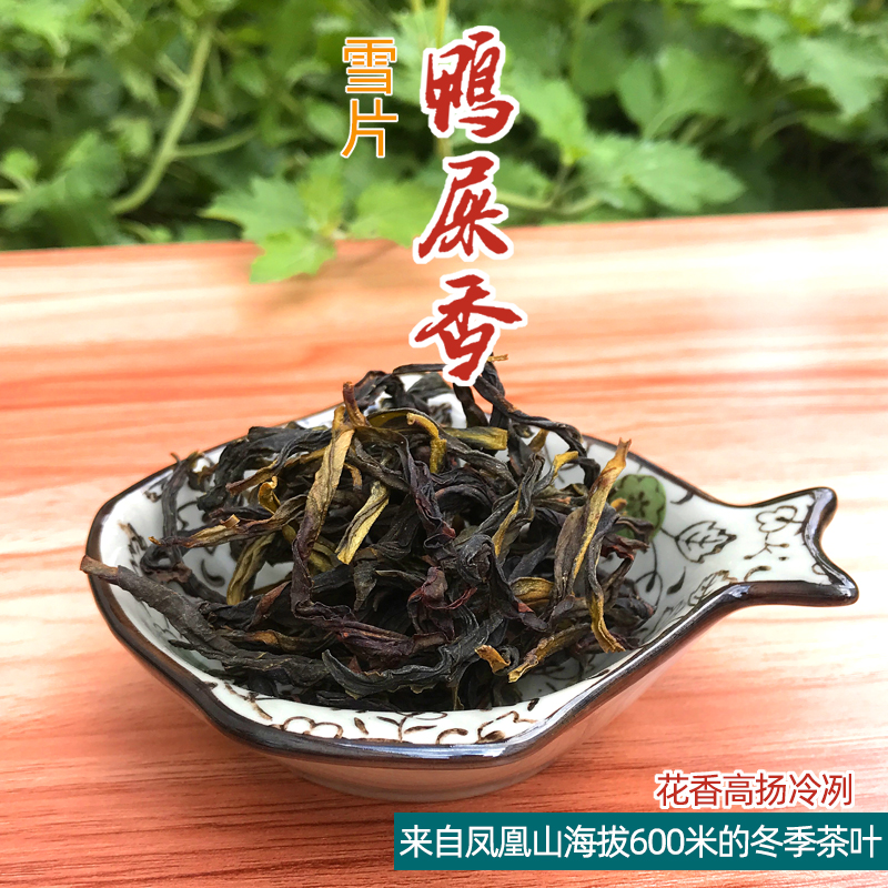凤凰雪片鸭屎香单丛茶A