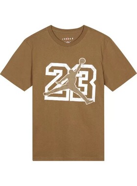 Air Jordan Flight Essential 男子夏季AJ纯棉短袖T恤 FB7395-281