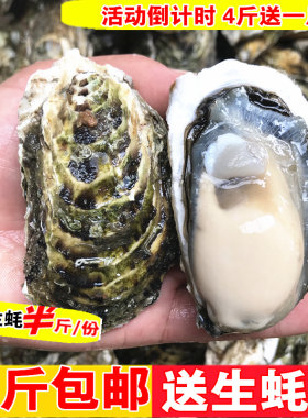 生蚝海鲜鲜活新鲜牡蛎 乳山牡蛎海蛎子现挖生蚝肉贝类水产烧烤