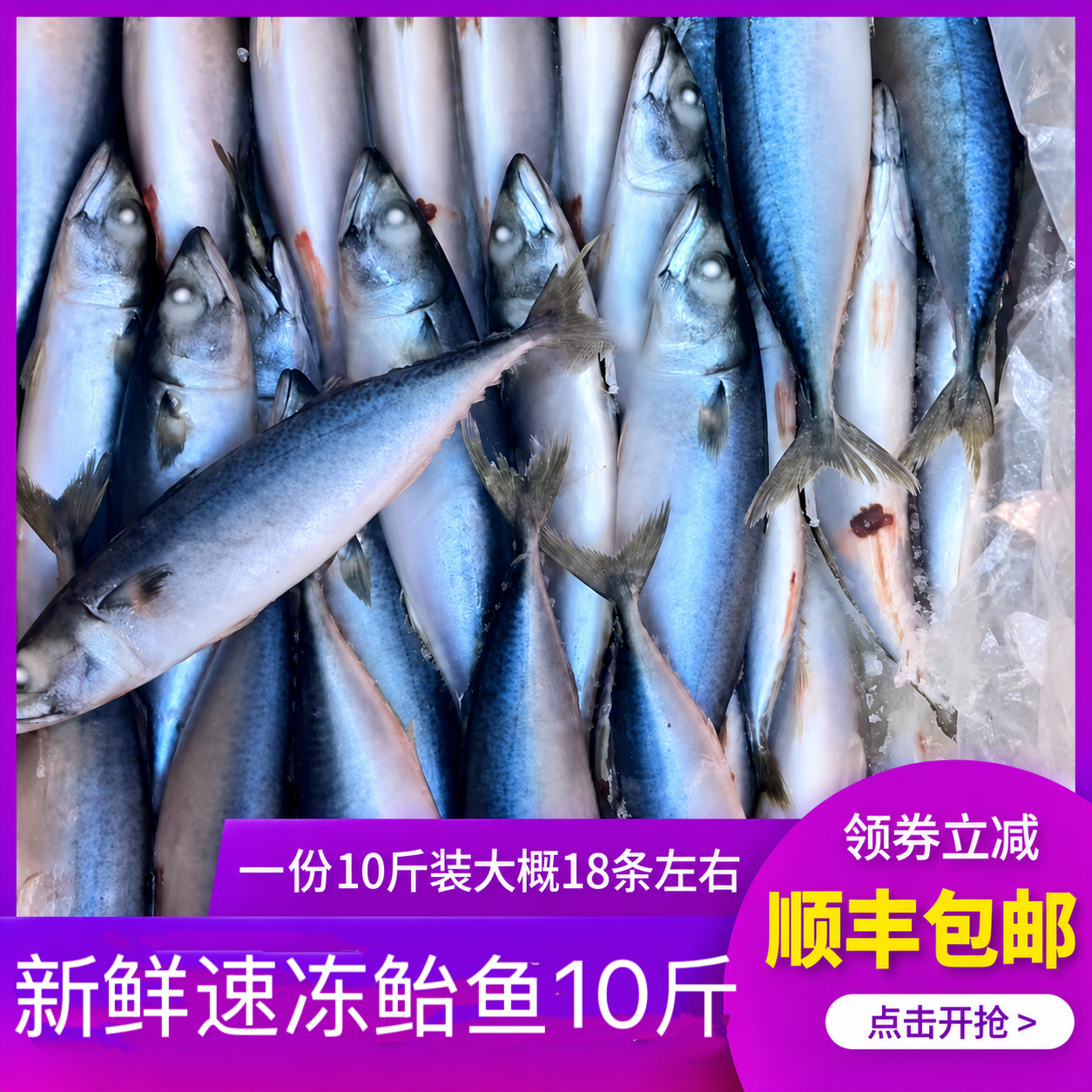 新鲜鲐鲅鱼 整条海鲜活冷冻 10斤青占鱼燕鱼青花鱼生鲜食材顺丰