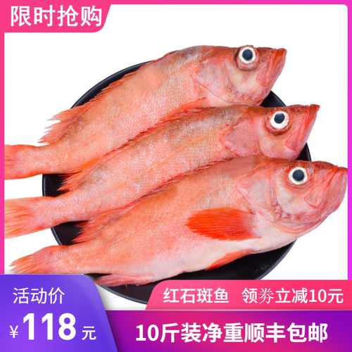 大眼红鱼多少钱 大眼红鱼价格 小麦优选
