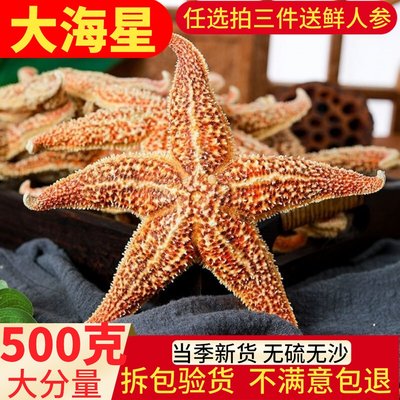 材刺棘海星海五星 海盘车海星乾货500g 滋补煲汤泡酒料