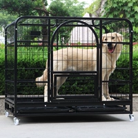 Клетка для собак в помещении среднего размера хрип