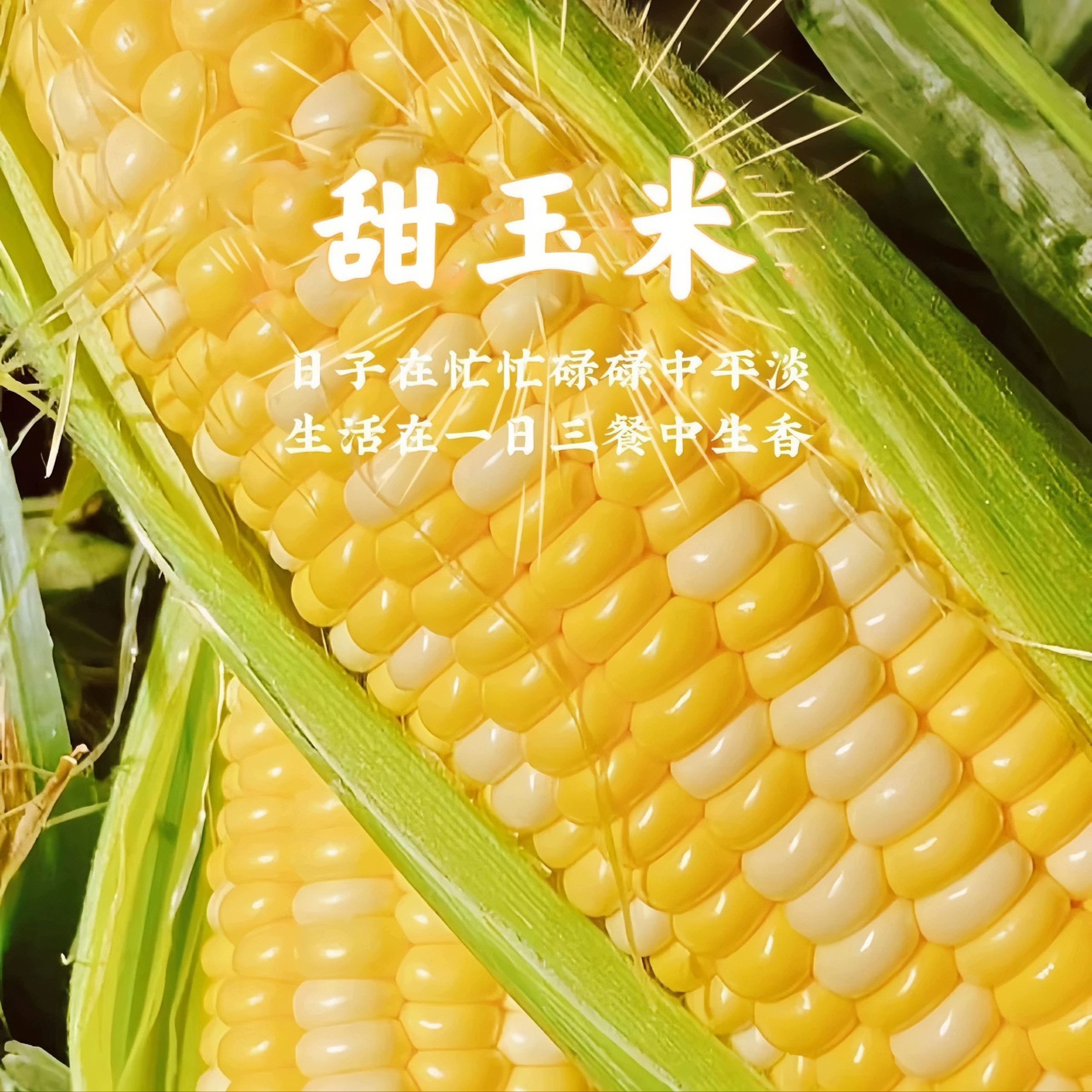 新鲜云南水果甜玉米新鲜现摘金银玉米新鲜玉米可榨汁即食现摘带皮