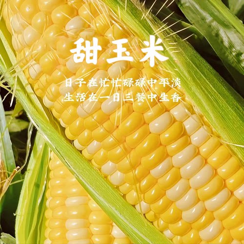 新鲜云南水果甜玉米新鲜现摘金银玉米新鲜玉米可榨汁即食现摘带皮