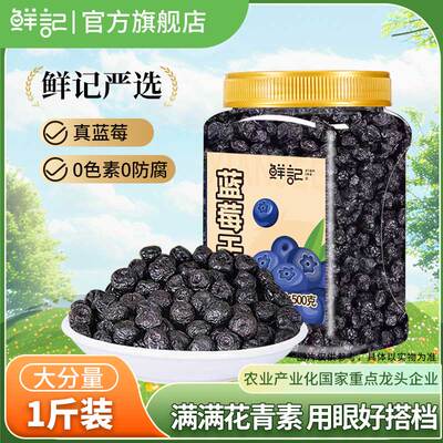 500g蓝莓干鲜记蜜饯果干