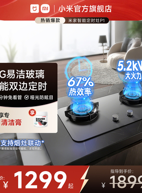 小米官方米家P1智能定时燃气灶煤气灶台双灶嵌入式家用节能大火力