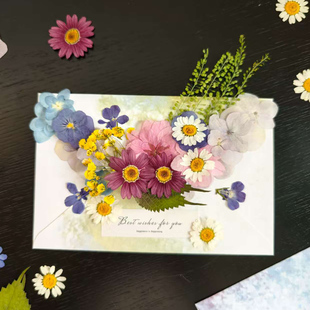 春日来信diy干花压花材料包信封贺卡小红书同款闺蜜生日礼物沙龙