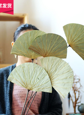 【山树】荷叶天然家居装饰荷叶绿色艺术干花干叶花束花插素材荷叶