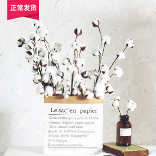 干花真花 棉花树枝文艺范工业风森林系家居装 饰拍摄道具 山树
