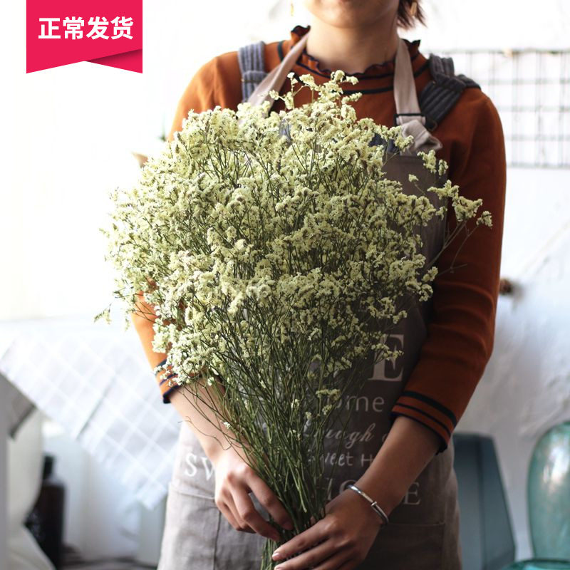 干花粉红水晶草蓝色橙色干花 家居房间客厅仿真花假花天然水晶草