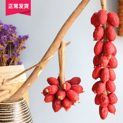 红运当头干果串 寓意生活丰收 新婚新年天然装饰玄关 天然橱窗