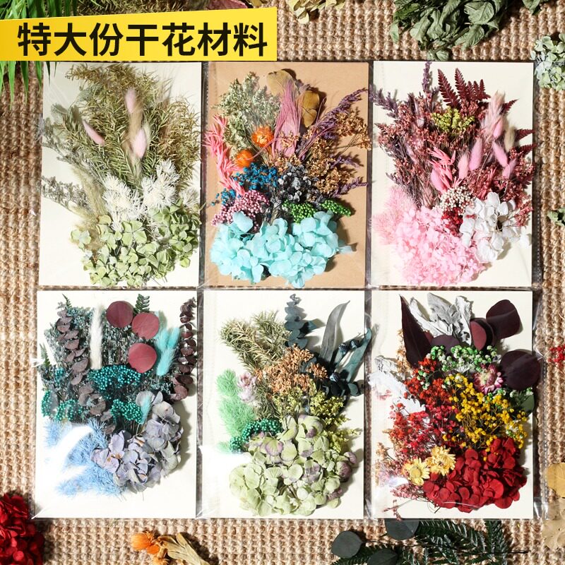干花永生花DIY压花材料包手工押花相框笔记本手机壳滴胶蜡片贴画