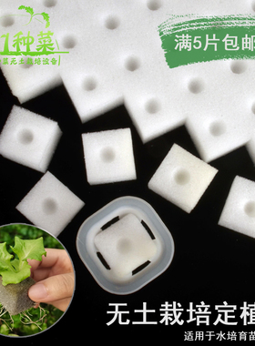 水培蔬菜定植绵固根器无土栽培设备配件挖孔带孔定植海绵块育苗绵