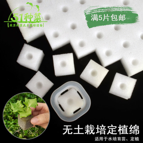 蔬菜定植绵固根器无土栽培