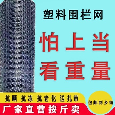 加厚养鸡鸭塑料围栏网