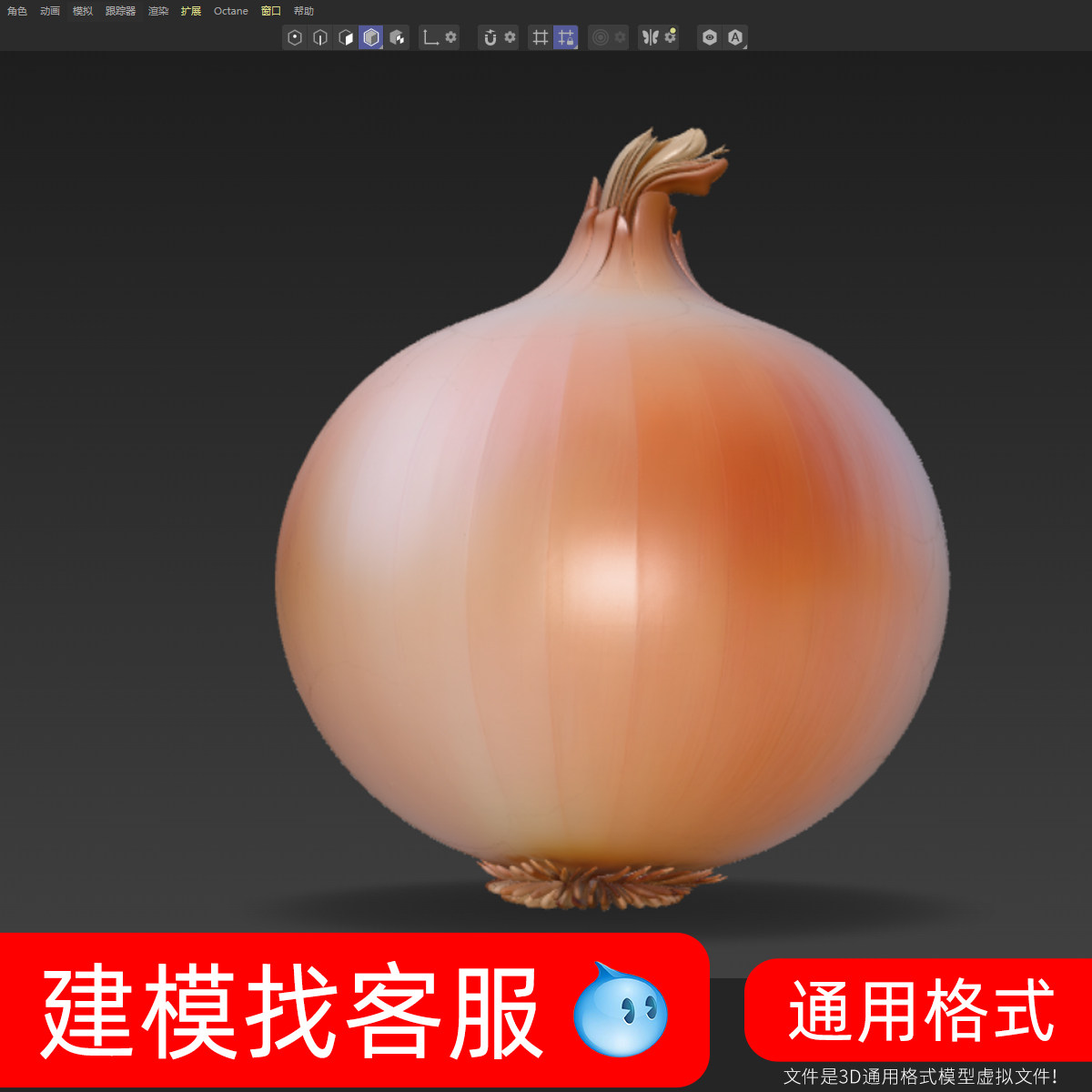3489洋葱模型建模3D模型建模精雕模型犀牛模型建模精雕模型蔬菜洋图片