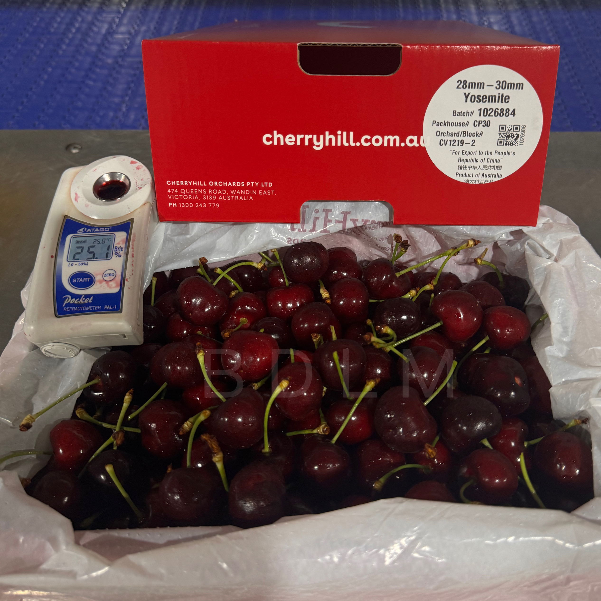 澳洲cherry hill车厘子yosemite进口车厘子4斤脆口多汁浓郁好吃甜