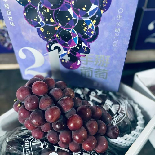 辽峰葡萄21°肉厚多汁手掰葡萄