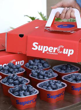 云南高原蓝莓super cup小懒杯装盒装蓝莓礼盒装大甜新鲜孕妇水果