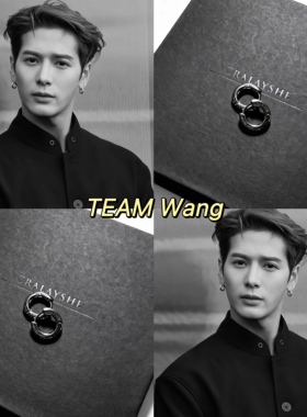 王嘉尔同款TEAMWang百搭耳环