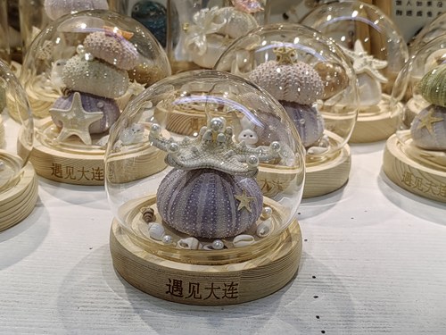 大连海胆灯 贝壳海星灯 店主手工制作 特色伴手礼包邮