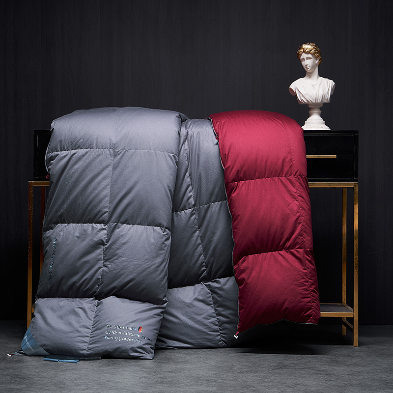 梦洁mine寐德国进口95%白鹅绒抗菌被羽绒被加厚保暖被正 无极寞ii