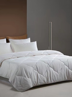 梦洁家纺 2022新款正品甄柔莫代尔提花大豆抗菌发热二合一被00293