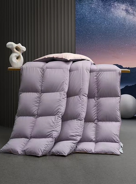 梦洁5A银标95%美洲雁绒四季被2024羽绒被冬季保暖被芯1956S启明星