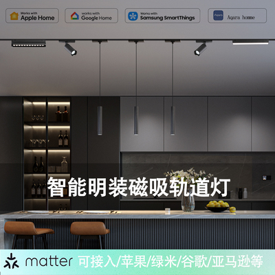 siri苹果homekit无主灯