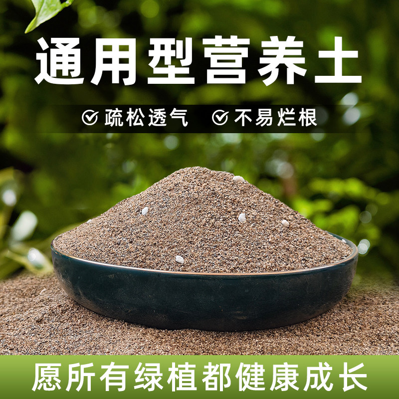 营养土养花盆栽花卉绿植种花专用土壤多肉绿萝阳台种植土园艺专用,鲜花速递/花卉仿真/绿植园艺,介质/营养土,淘宝优惠券,粉丝福利购,淘宝优惠卷
