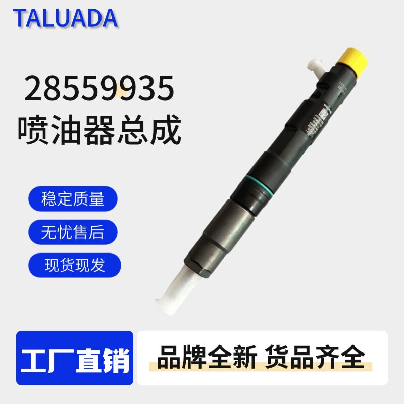 28559935轻卡瑞狮玉柴160电喷4108/4110发动机配喷油器总成图片