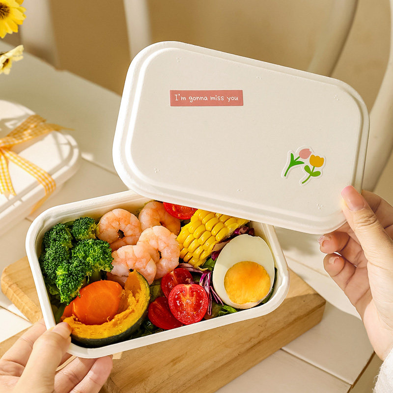 蛋糕卷包装盒纸盒烘焙网红野餐瑞士卷沙拉一次性纸浆便当打包盒子