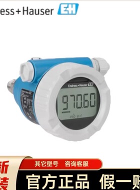 E+H压力变送器 PMP51B-CJE5/0 PMP51B-BFBACBH6AA3PCA1VNJA1+VD